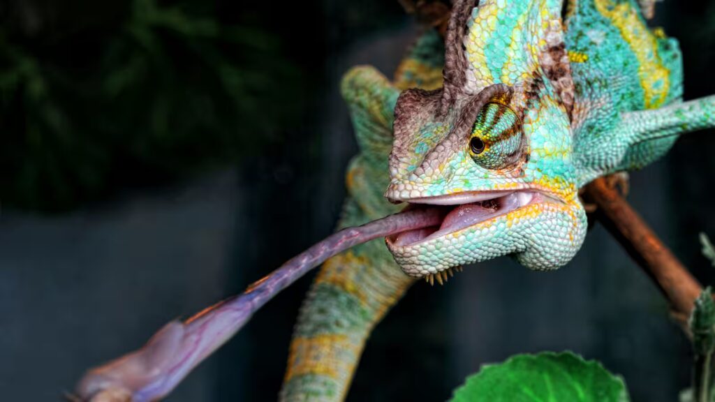 What Does It Mean to Be Cold-Blooded?