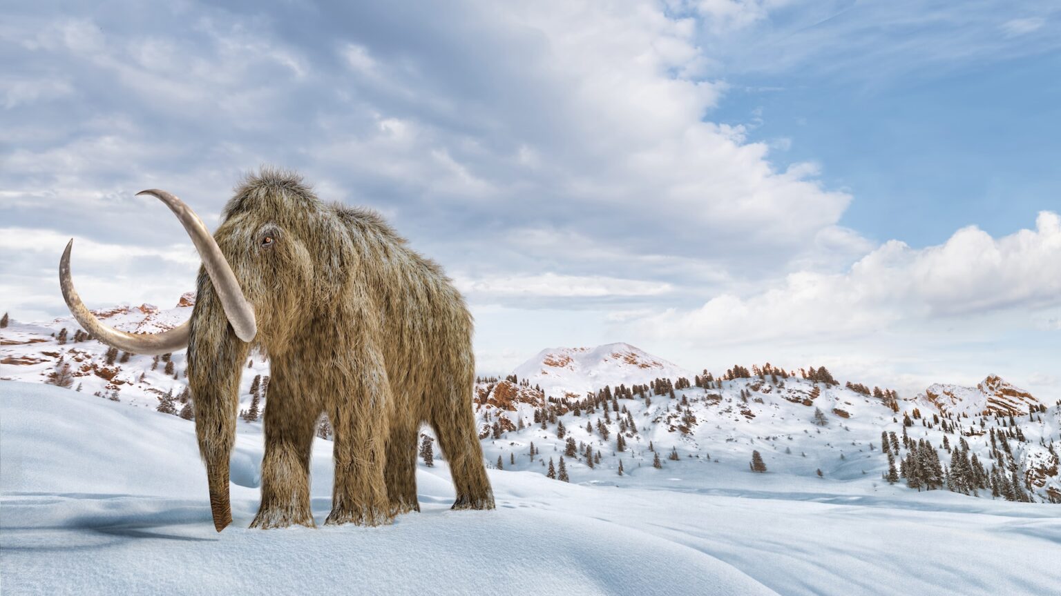 woolly mammoth facts